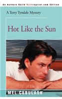 Hot Like the Sun: (Terry Tyndale Mysteries)