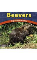 Beavers