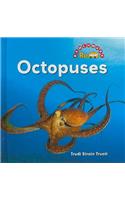 Octopuses: (Ocean life)