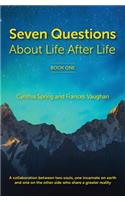 7 Questions about Life After Life