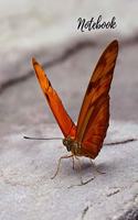 Notebook: Butterfly Notebook, Journal, Diary (110 Pages, Blank, 8.5 x 11)