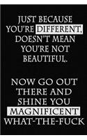 Just Because You're Different, Doesn't Mean You're Not Beautiful. Now Go Out There and Shine You Magnificent What-the-Fuck: A Blank Journal