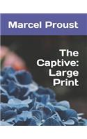 The Captive: Large Print