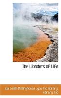The Wonders of Life
