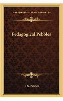 Pedagogical Pebbles