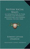 British Social Wasps