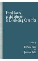 Fiscal Issues in Adjustment in Developing Countries