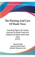 Planting And Care Of Shade Trees