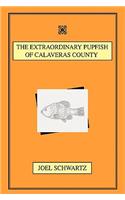 Extraordinary Pupfish of Calaveras County