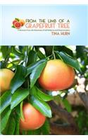From the Limb of a Grapefruit Tree: A Woman's True-Life Adventure of Self-Reliance and Determination