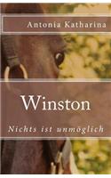 Winston III: Nichts Ist Unmoglich