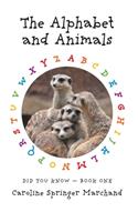 Alphabet and Animals