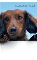 Dachshund July Notebook Dachshund Record, Log, Diary, Special Memories, To Do List, Academic Notepad, Scrapbook & More
