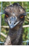 The Emu Watching You Journal: 150 page lined notebook/diary