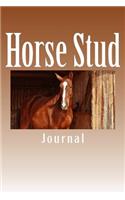 Horse Stud: 150 page lined journal