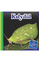 Katydid