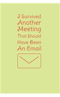I Survived Another Meeting That Should Have Been An Email