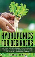 Hydroponics for Beginners