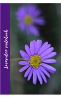 Lavender notebook