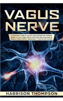 Vagus Nerve