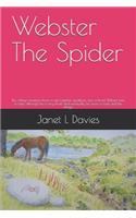 Webster The Spider