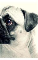 Pug Dog Notebook