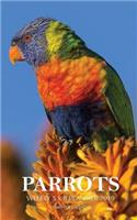 Parrots Weekly 5 x 8 Planner 2019: 12 Month Calendar