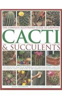 Complete Illustrated Guide to Growing Cacti & Succulents