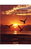 Sunrise Notebook