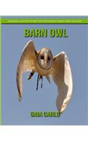 Barn Owl
