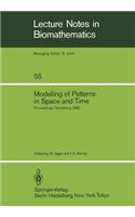Modelling of Patterns in Space and Time