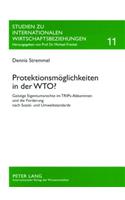 Protektionsmoeglichkeiten in Der Wto?: Geistige Eigentumsrechte Im Trips-Abkommen Und Die Forderung Nach Sozial- Und Umweltstandards