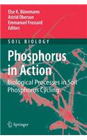 Phosphorus in Action