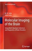 Molecular Imaging of the Brain