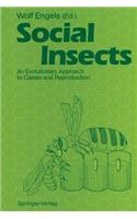 Social Insects