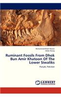 Ruminant Fossils From Dhok Bun Amir Khatoon Of The Lower Siwaliks