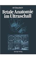 Fetale Anatomie im Ultraschall