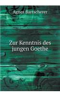 Zur Kenntnis des jungen Goethe