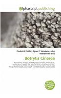 Botrytis Cinerea: (English)