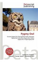 Pygmy Owl: (English)