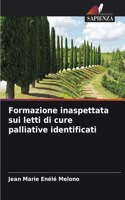 Formazione inaspettata sui letti di cure palliative identificati