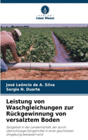 Leistung von Waschgleichungen zur Rückgewinnung von versalztem Boden