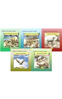 Animal Folk Tales from Around the World (Set of 5 Books)