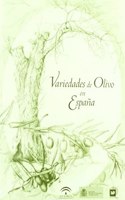 Variedades de olivo