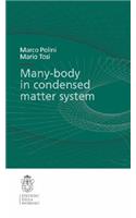 Many-Body Physics in Condensed Matter Systems