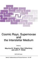 Cosmic Rays, Supernovae and the Interstellar Medium