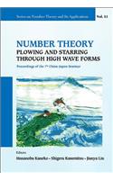 Number Theory: Plowing and Starring Through High Wave Forms - Proceedings of the 7th China-Japan Seminar