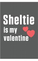 Sheltie is my valentine: For Shar Pei Dog Fans