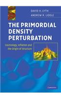 The Primordial Density Perturbation