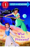 What Is a Princess? (Disney Princess)